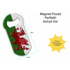 Magnetic Bottle Opener Welsh Flag